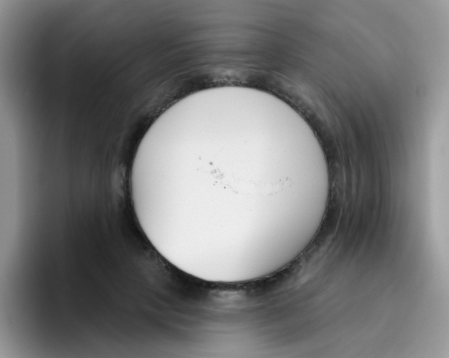 X0000095920649200802081114