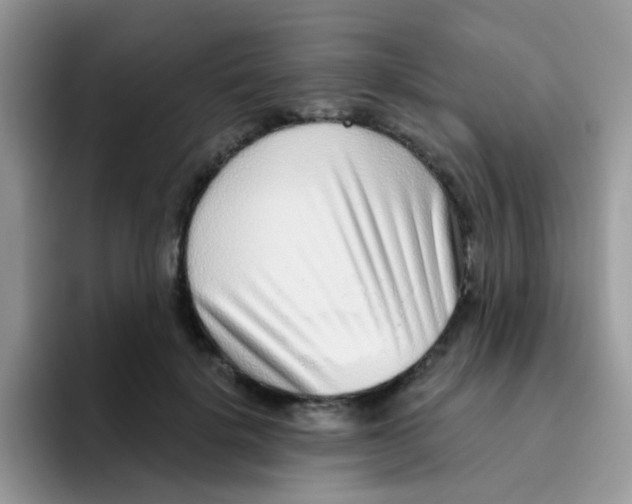 X0000095920652200802081114