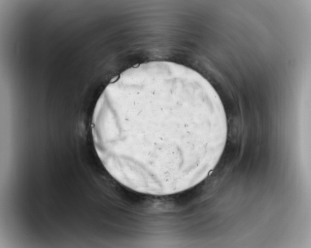 X0000095920655200802081114