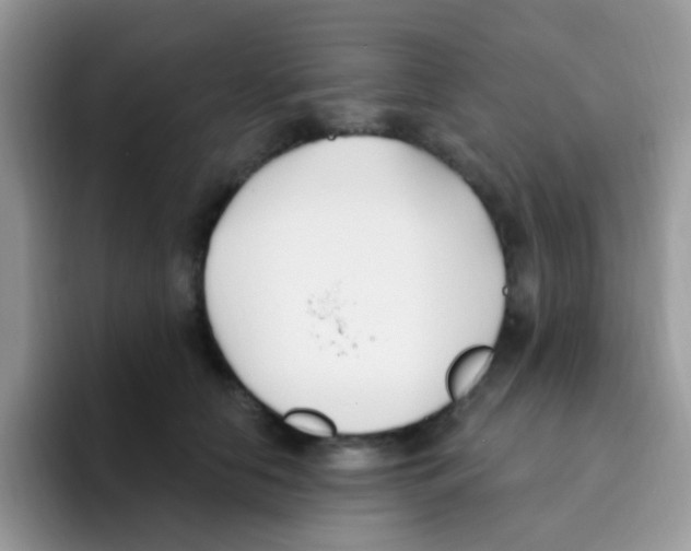 X0000095920658200802081114