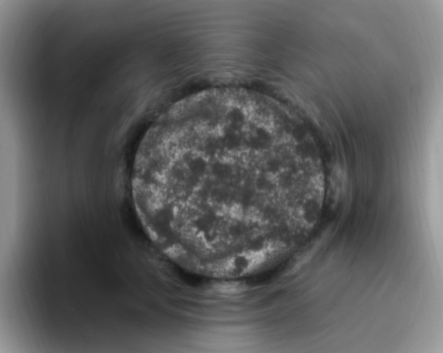 X0000095920659200802081114