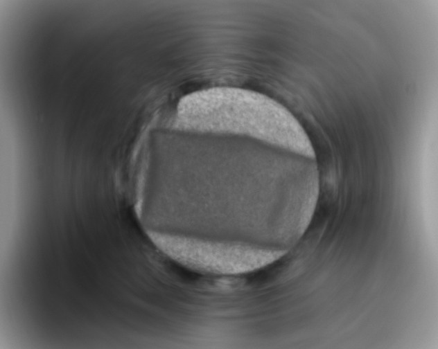 X0000095920663200802081114