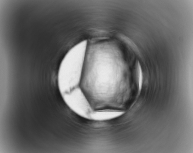 X0000095920669200802081114