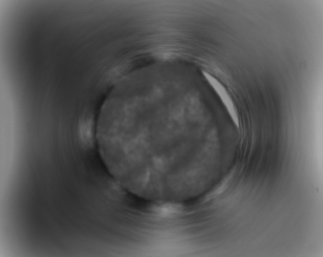 X0000095920670200802081114