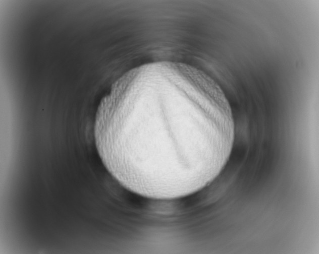 X0000095920671200802081114