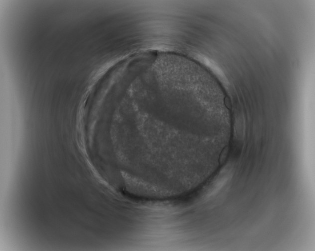 X0000095920673200802081114