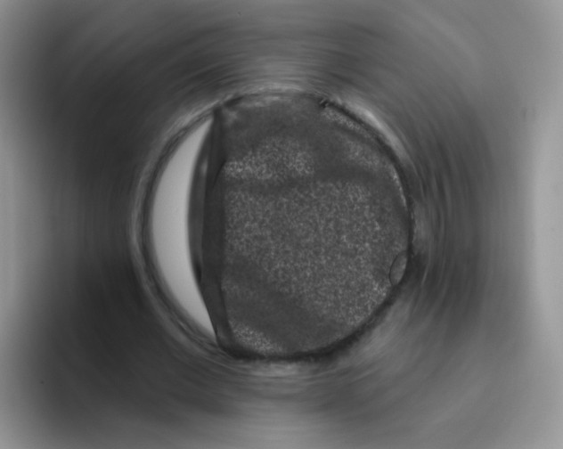 X0000095920677200802081114