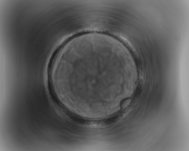 X0000095920678200802081114