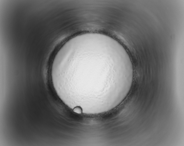 X0000095920679200802081114