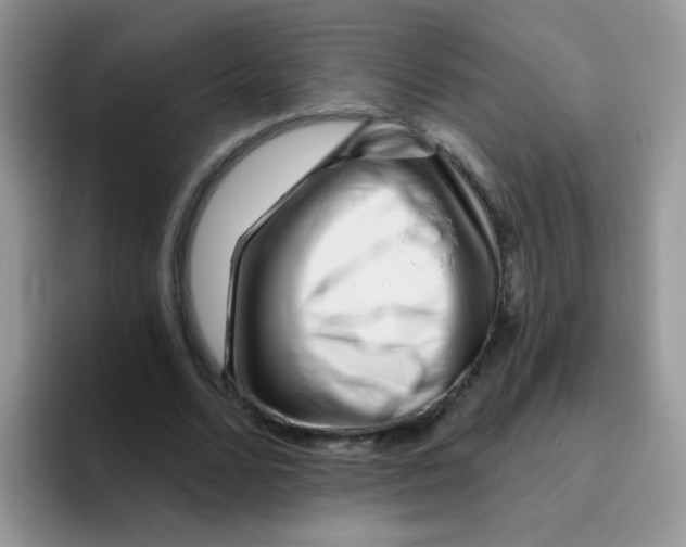 X0000095920680200802081114