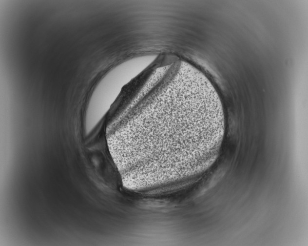 X0000095920681200802081114