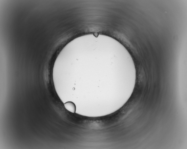 X0000095920683200802081114