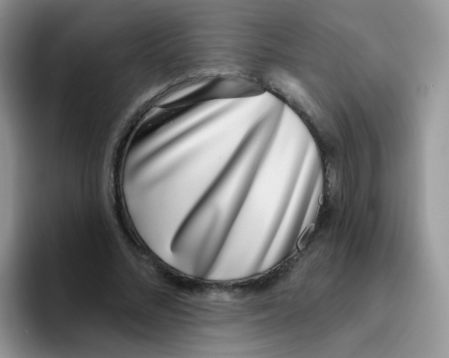 X0000095920684200802081114