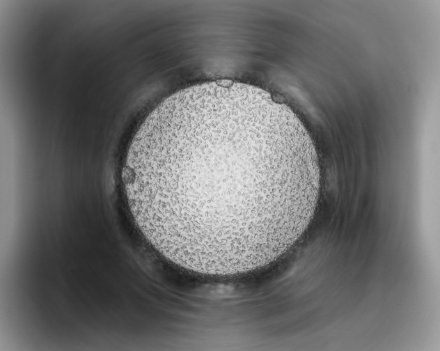 X0000095920687200802081113