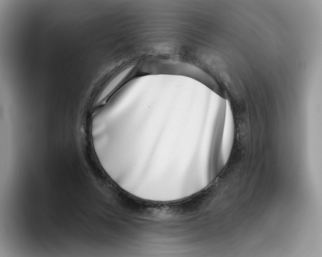 X0000095920688200802081113