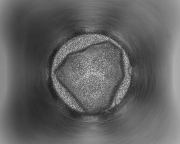 X0000095920691200802081113