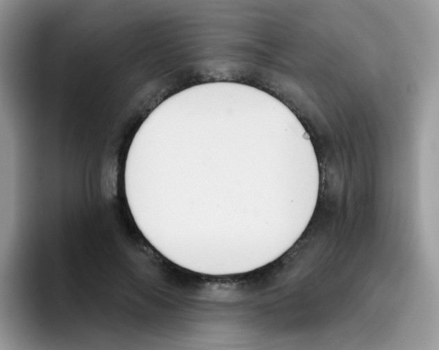 X0000095920694200802081113