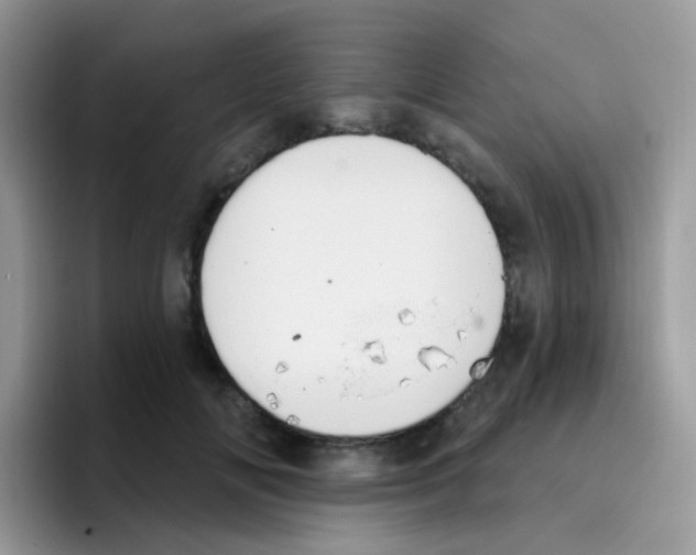 X0000095920702200802081113