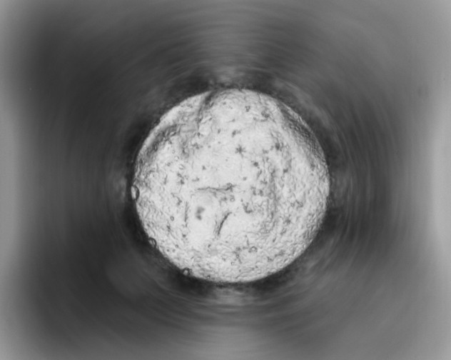 X0000095920703200802081113