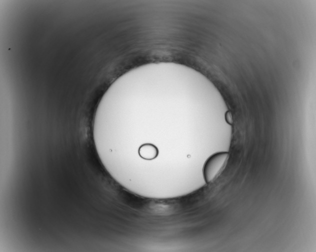 X0000095920706200802081113