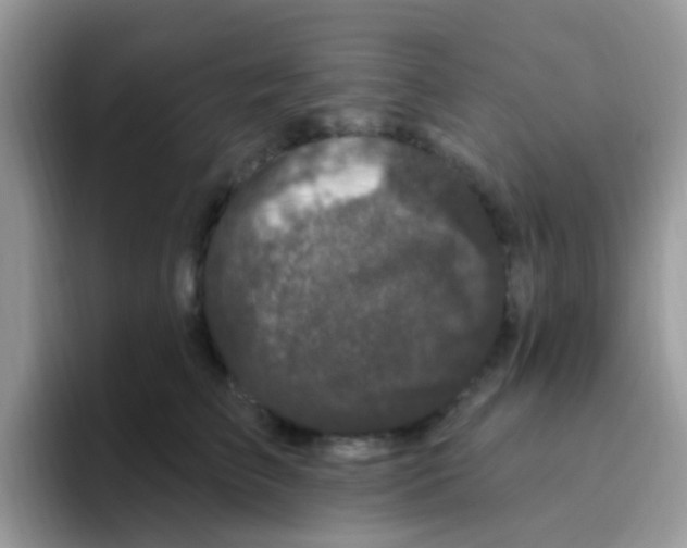 X0000095920709200802081113