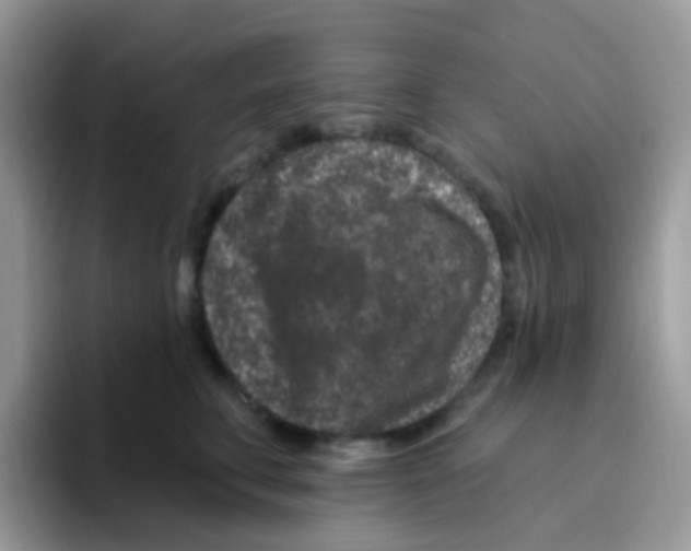 X0000095920711200802081113