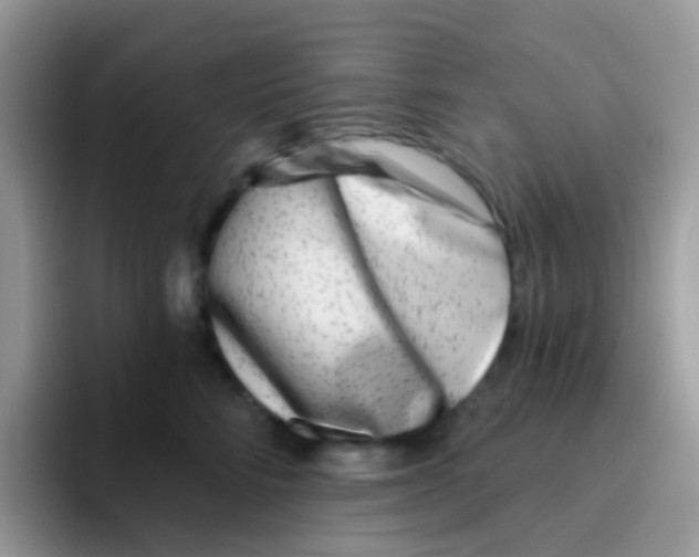 X0000095920712200802081113