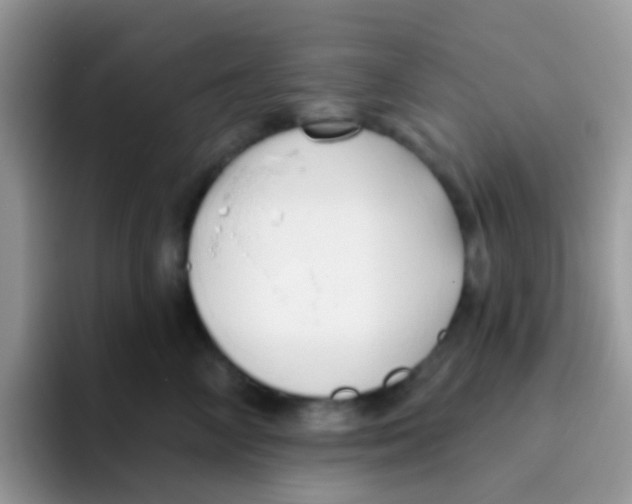 X0000095920714200802081113