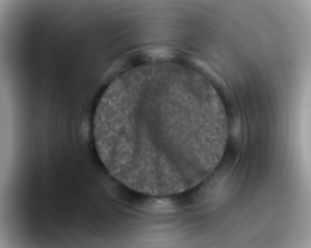 X0000095920715200802081113