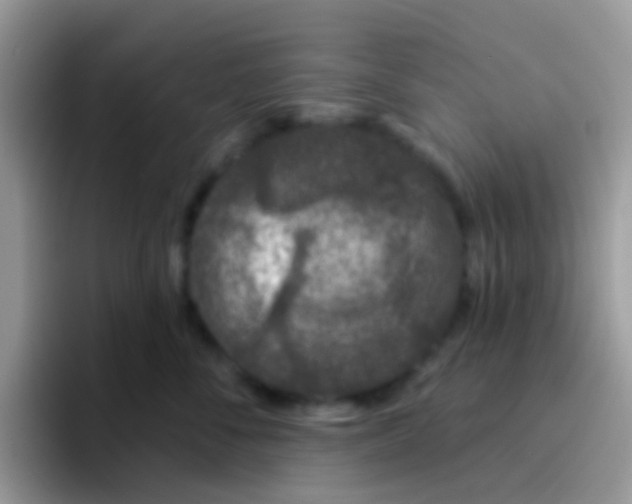 X0000095920716200802081113