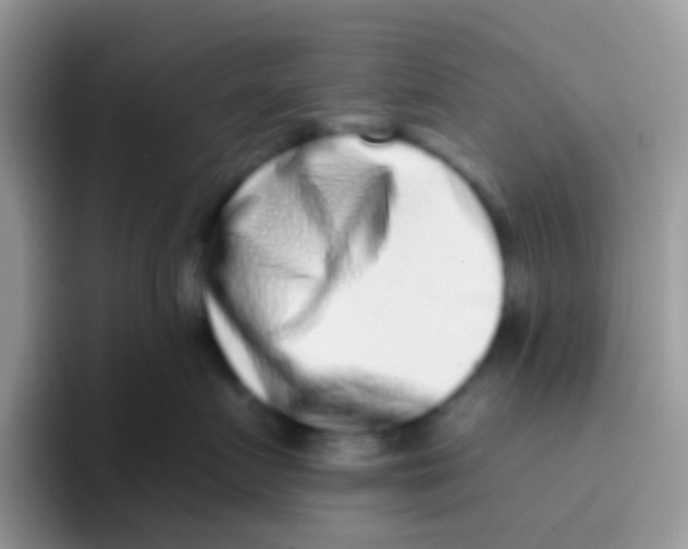 X0000095920719200802081113