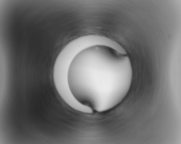 X0000095920720200802081113