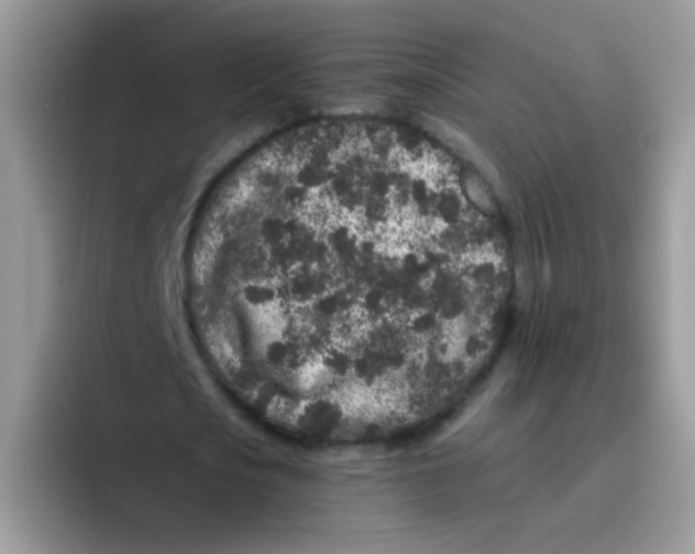 X0000095920721200802081112