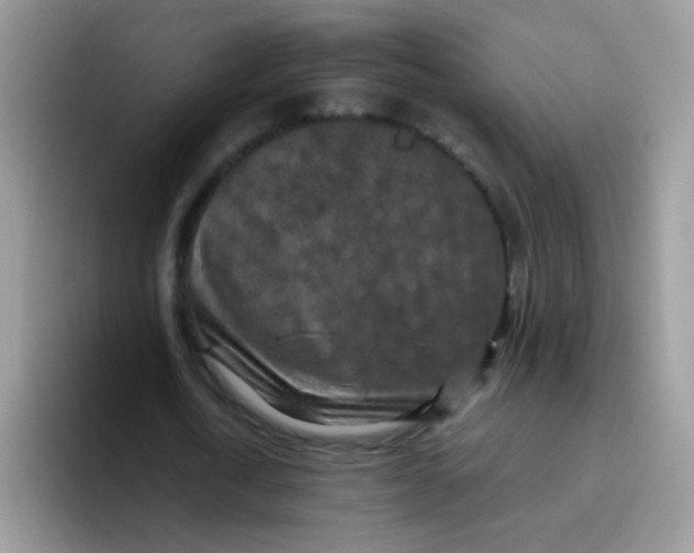 X0000095920722200802081112