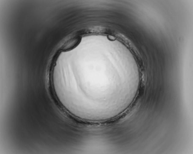 X0000095920725200802081112