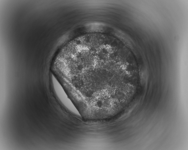 X0000095920729200802081113