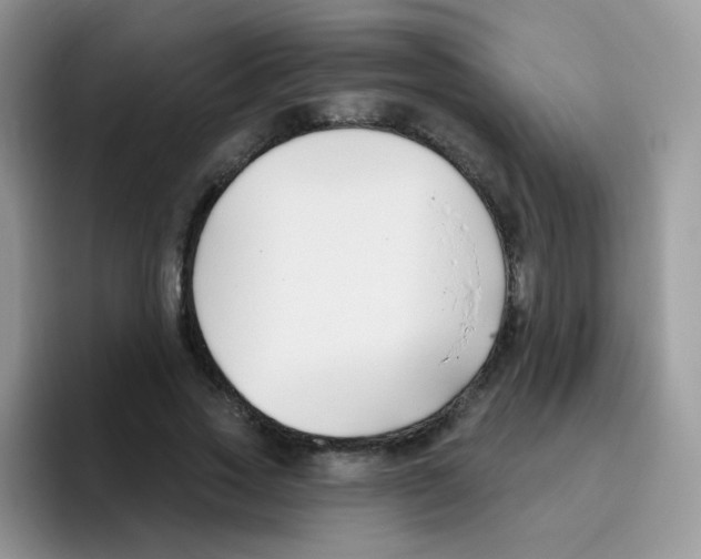 X0000095920733200802081113