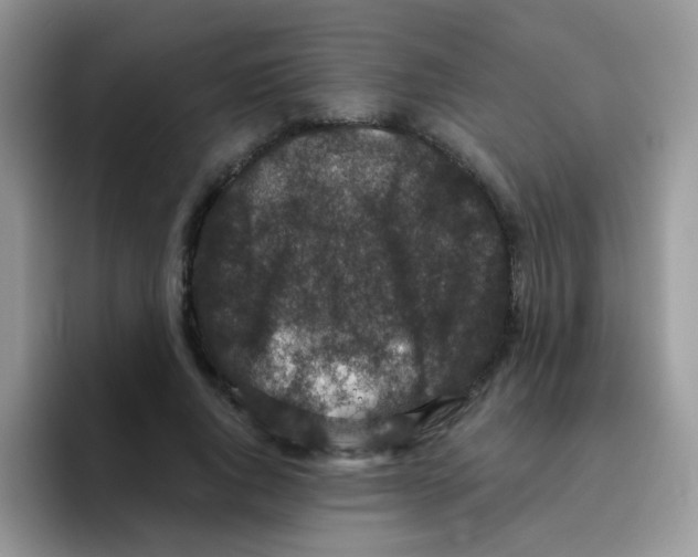 X0000095920736200802081113