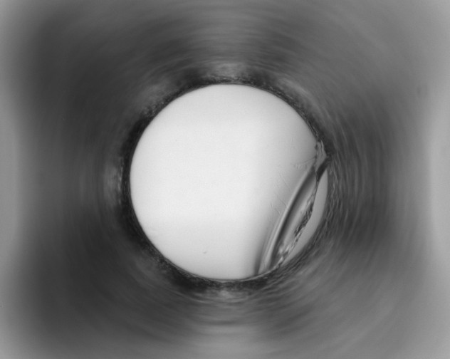 X0000095920739200802081113