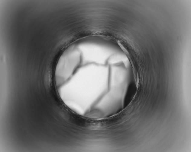 X0000095920740200802081113