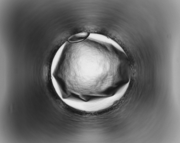 X0000095920742200802081113