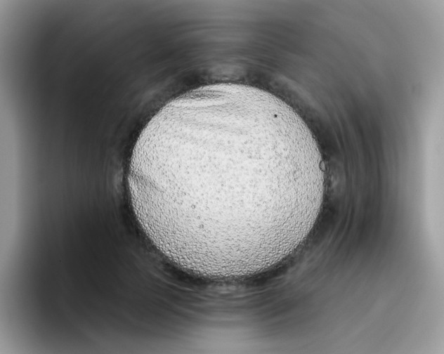 X0000095920745200802081113