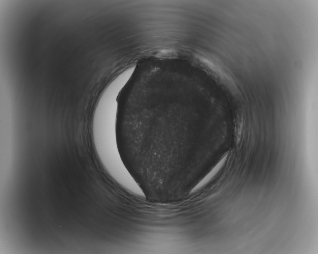 X0000095920748200802081113