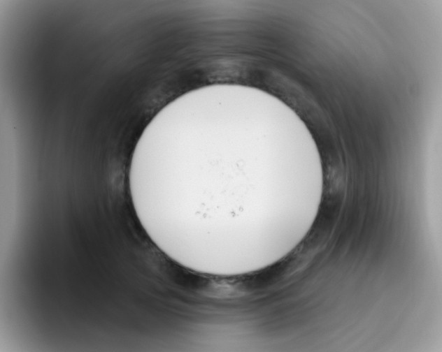 X0000095920753200802081113