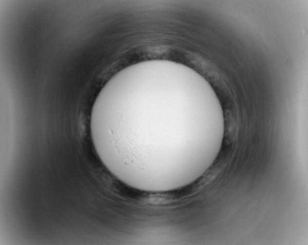 X0000095920758200802081113