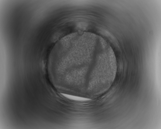 X0000095920759200802081113