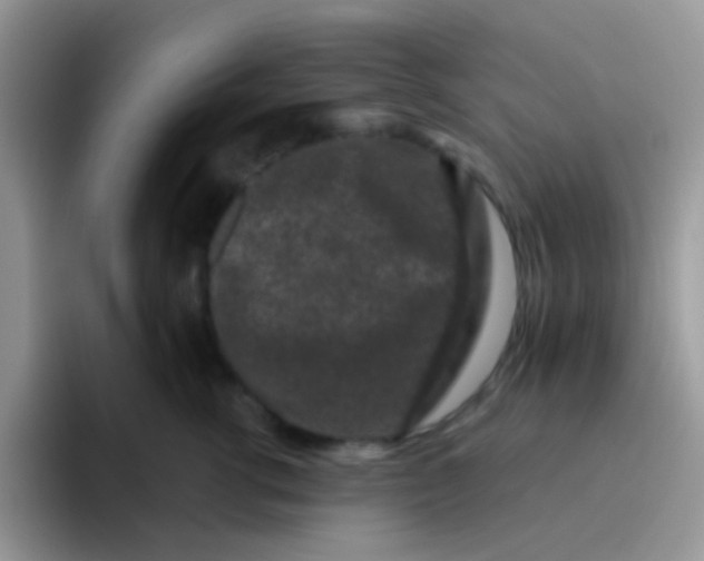 X0000095920762200802081113