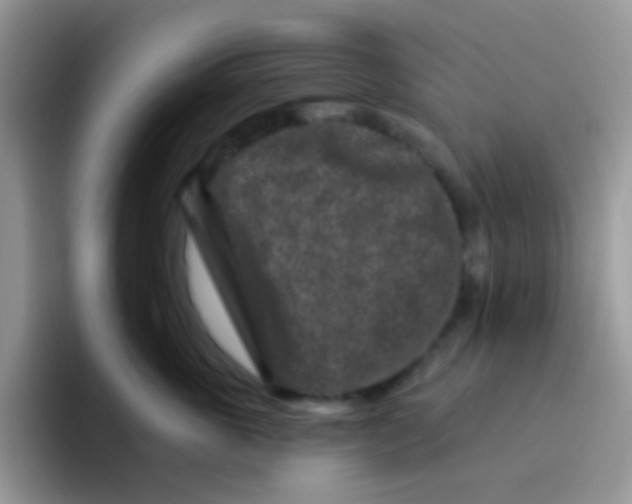 X0000095920763200802081113