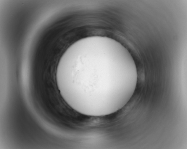 X0000095920764200802081113