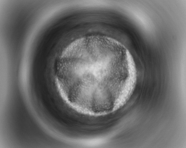 X0000095920765200802081113